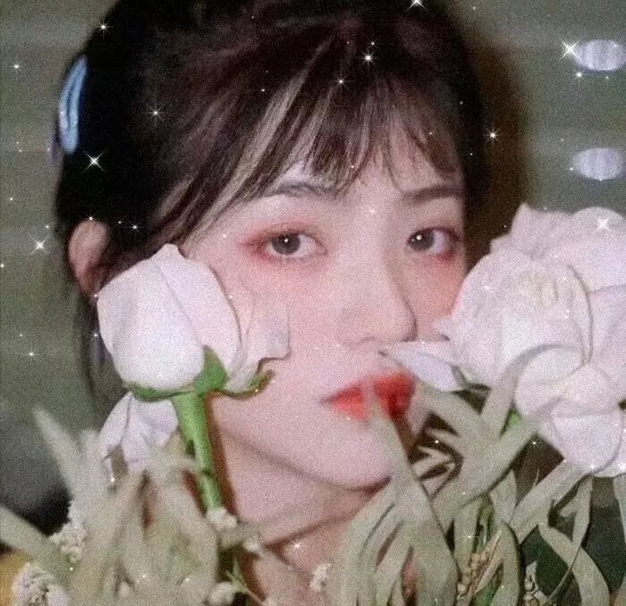 墓野魅影